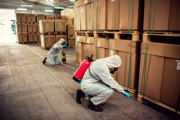 Best Pest Inspection Near Me  in Pleasantdale, NJ