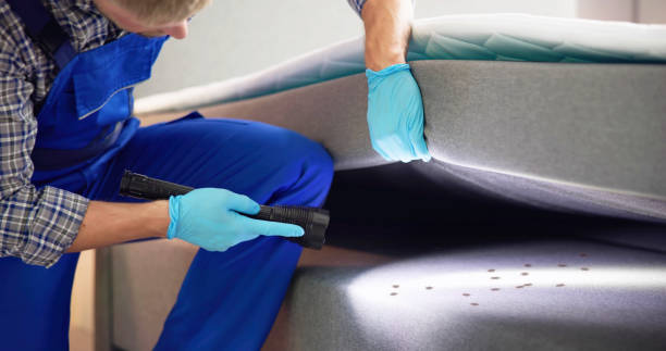 Best Ant Control Services  in Pleasantdale, NJ