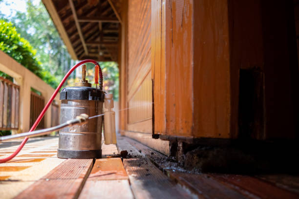 Best Wasp Removal Services  in Pleasantdale, NJ