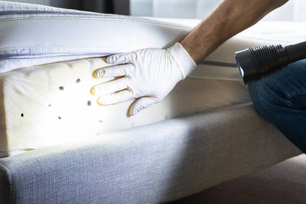 Best Pest Control Near Me  in Pleasantdale, NJ