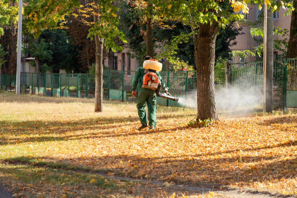 Best Pest Inspection Near Me  in Pleasantdale, NJ