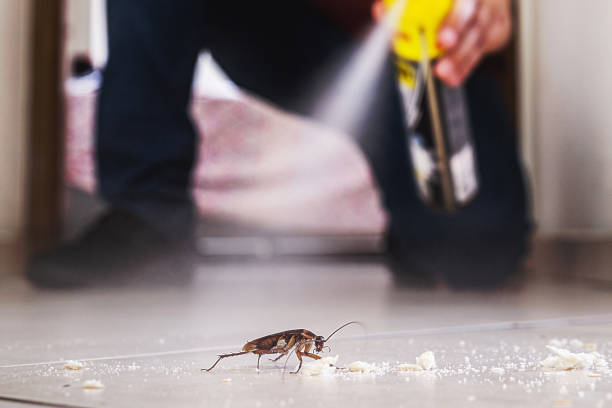 Best Wildlife Control Services  in Pleasantdale, NJ