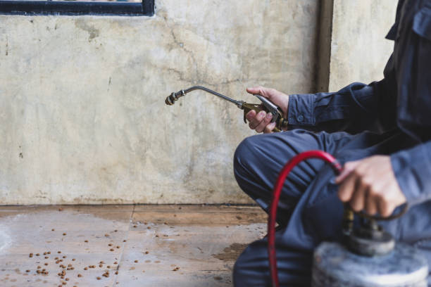 Best Residential Pest Control  in Pleasantdale, NJ